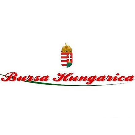 BURSA HUNGARICA 2022.évi pályázat